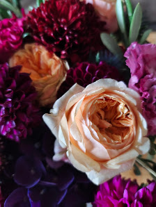 La Rose Hannover