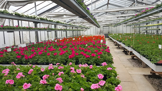 Gartenbau Stocker