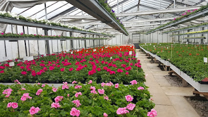Gartenbau Stocker