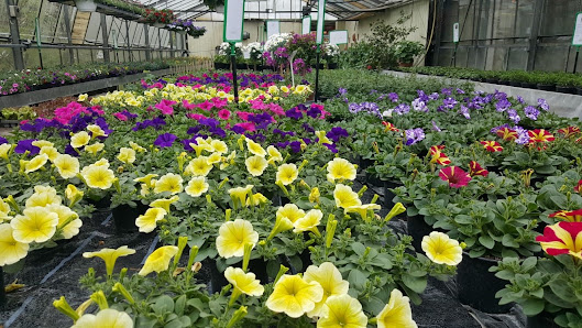 Gartenbau Stocker