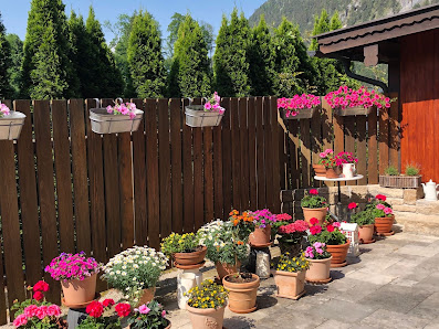 Gartenbau Stocker