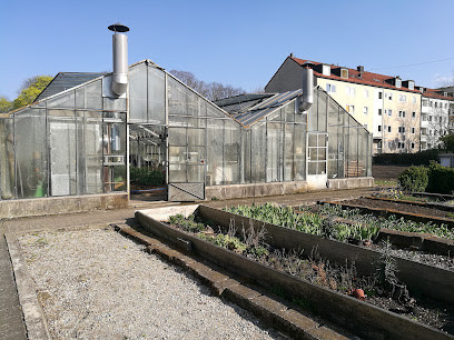 Altomünster