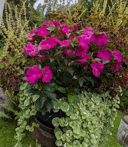 Blumenzauber Inh. Michaela Geppert und Strambach Helmut