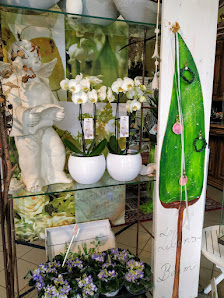 BELLISSIMA Blumen-Schlie