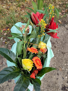 Blumen Schötz