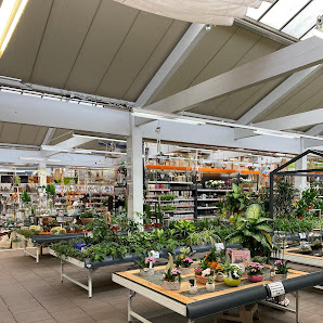 OBI Gartencenter Sulzbach
