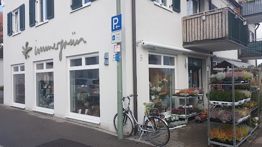 immergrün Horrer