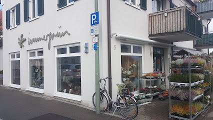 immergrün Horrer