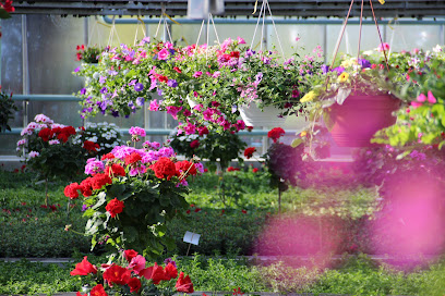Gärtnerei Floristik Bocksberger
