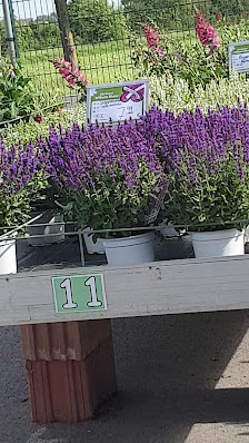 Gärtnerei Wilhelm Blume GmbH