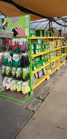 Gärtnerei Wilhelm Blume GmbH