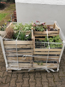 Bamberger Staudengarten Büro