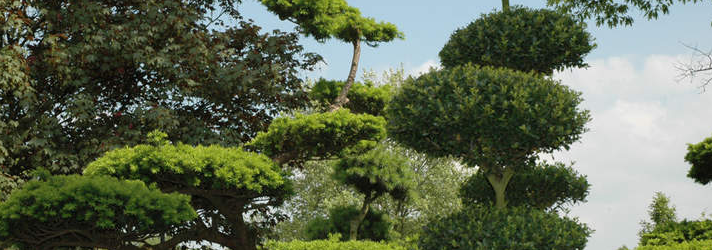 GartenBaumschule Gehlhaar