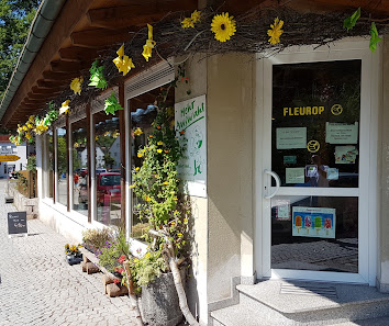 Düngfelder