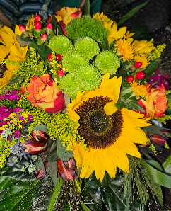Blumen Kogler