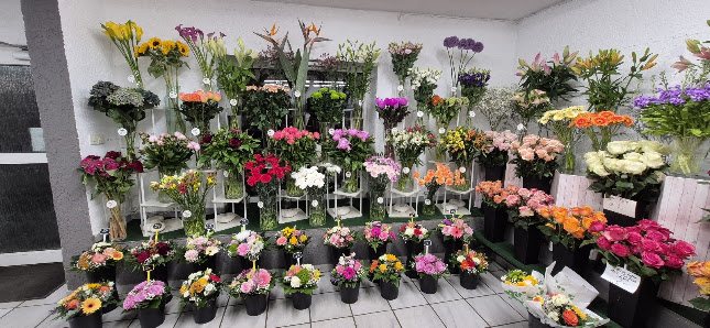 Blumenhaus Neufahrn