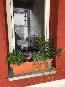 Blumen Gruber