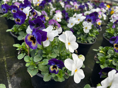BlumaMichl Gartenbau
