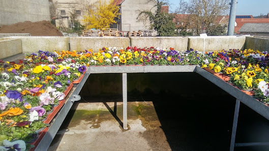Gartenbau Stefan Grob