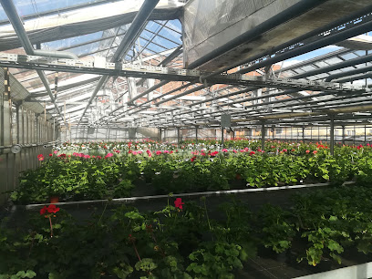 Gochsheim