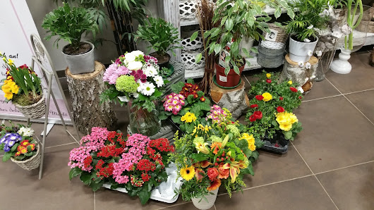 Blumenparadies-Schmid