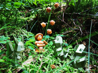 FLORA BLUMEREI