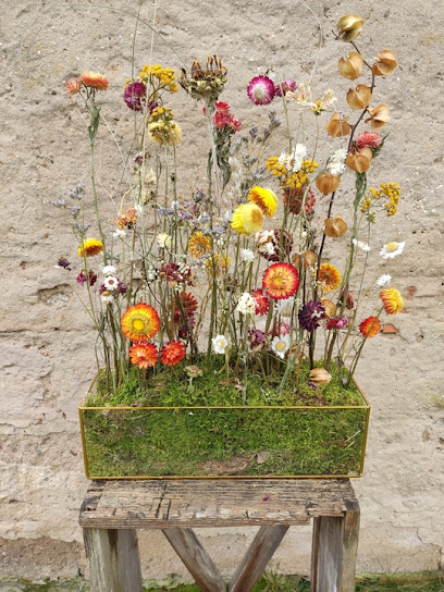 Wilde Karde - Blüten und Gräser