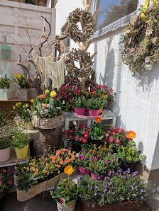 Mohnblüte Geltendorf