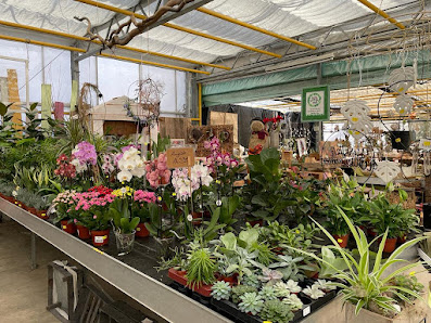 Blumen Zösch