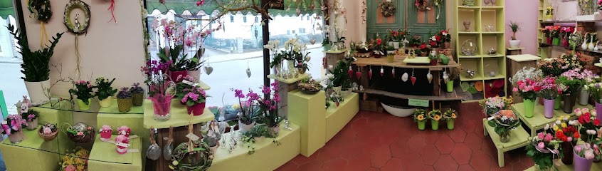 Blumen Meyer