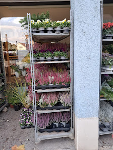 Gartenbau & Floristik Buchner