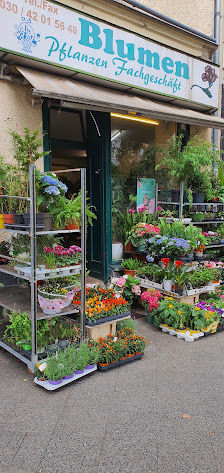 Blumenladen Fachgeschäft