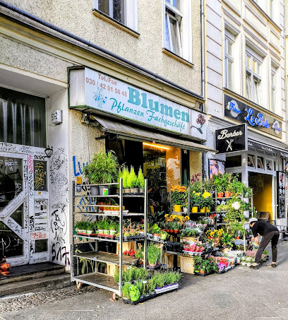 Blumenladen Fachgeschäft