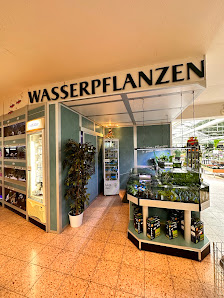 Dehner Garten-Center
