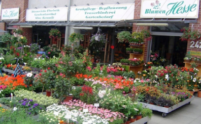 Blumen Hesse