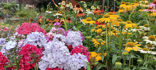 Florus Gartenbetrieb GmbH