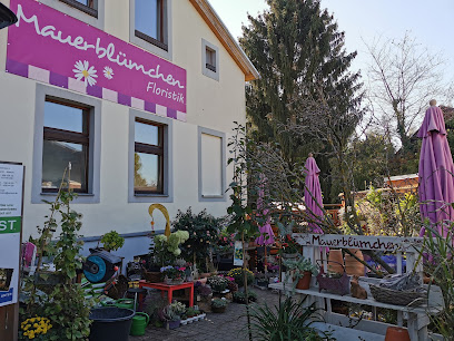Mauerblümchen Floristik Kladow