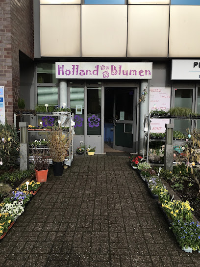 Holland Blumen