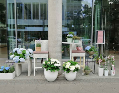 Blumerie Blumenladen Hannover Zentrum Hbf | Online Bestellung & Lieferung