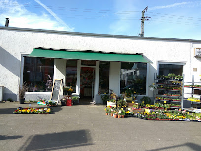 Blumen Kiemstedt