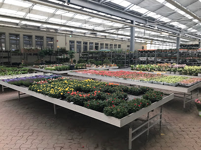 Landgard Cash & Carry Hannover-Sehnde