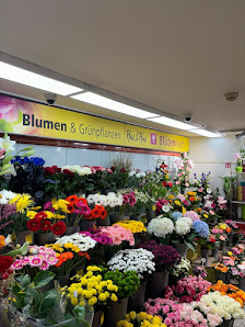 Hai&Hai Blumenladen