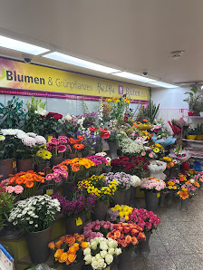 Hai&Hai Blumenladen