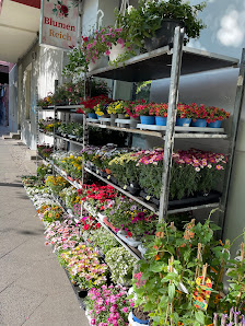 Blumen Reich