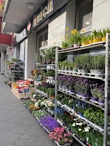 Blumen Reich