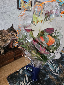 Blumen Preuss