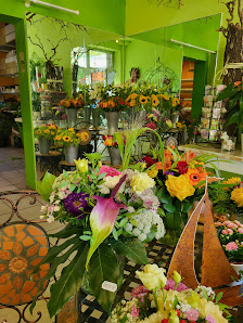 Laufamholzer Blumenstube
