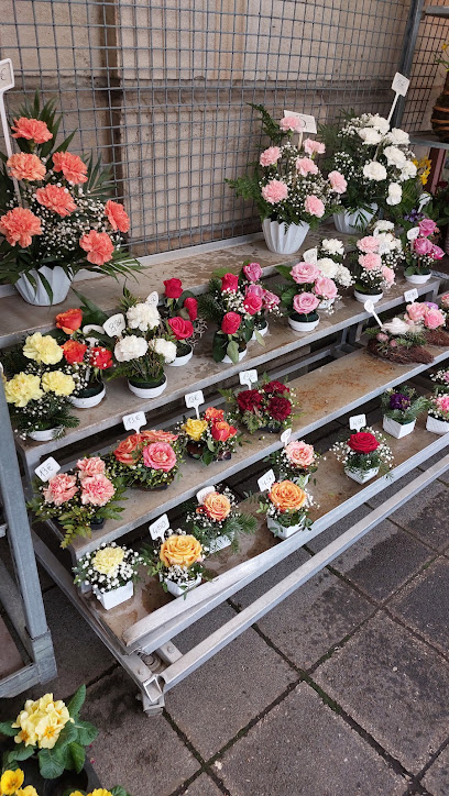 Blumen Bock