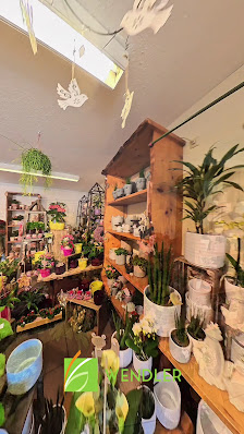 Blumen Wendler Lauf