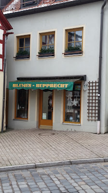 Blumen Wendler Lauf